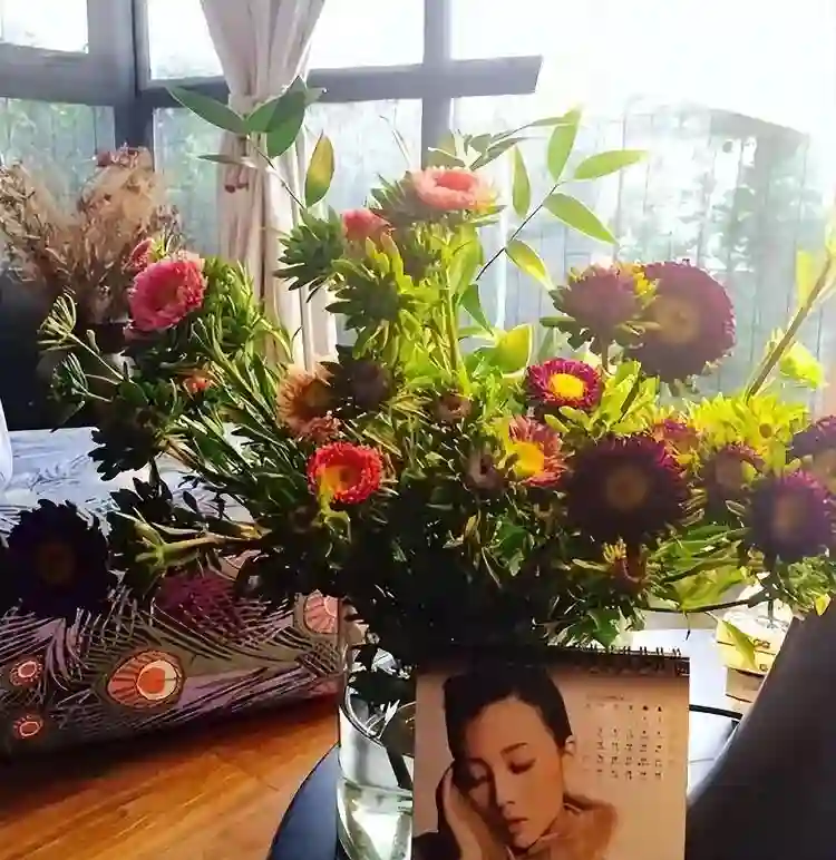 直到看完殷桃的家，终于明白她45岁却不着急结婚生子的原因了