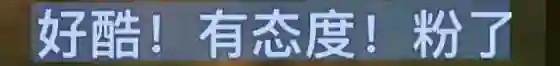 她最大的问题是不太聪明，又很想赢？