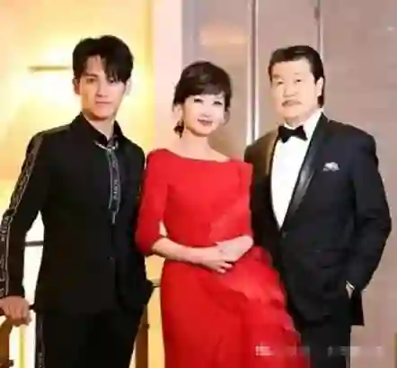 叶童25岁嫁入豪门却一生未育，真实原因令人泪目