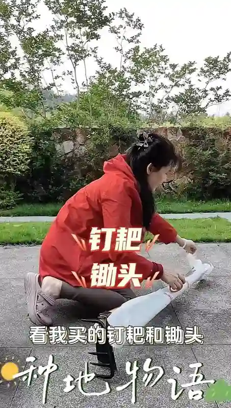 何赛飞杭州豪宅后院忙种蒜！63岁穿洞洞鞋干农活，毫无明星架子