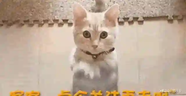 前脚官宣喜讯，后脚深陷舆论，42岁的蒋欣给内娱狠狠“上”了一课