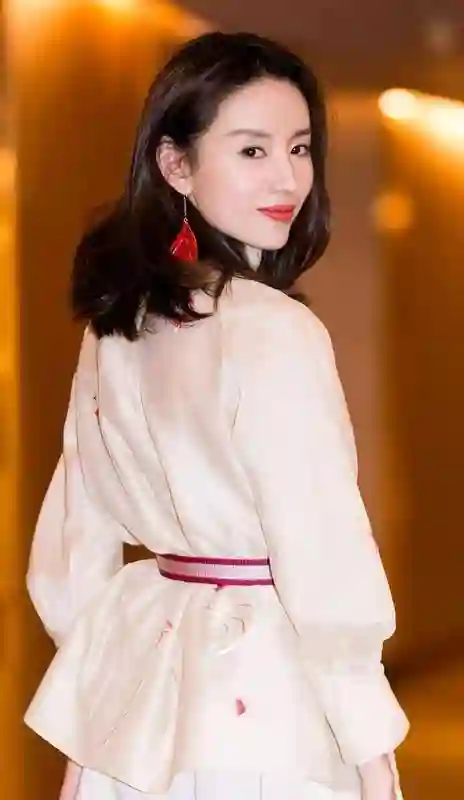 忘拉窗帘12年后，董洁再次尝试复出，却尝到苦果