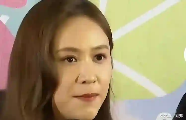 小S复工不顺利，对吴宗宪女儿吴姗儒开大，一记拳头打在了棉花上