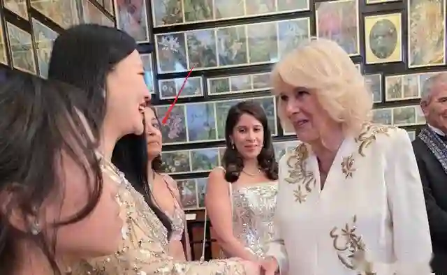49岁李湘英国看马赛，母女俩穿透视装引热议，被嘲像两个老姐妹
