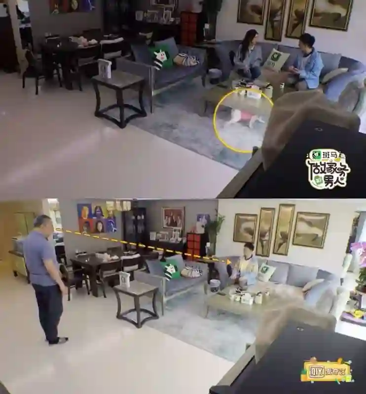 她不是实力很强么？怎么弹幕都在骂…