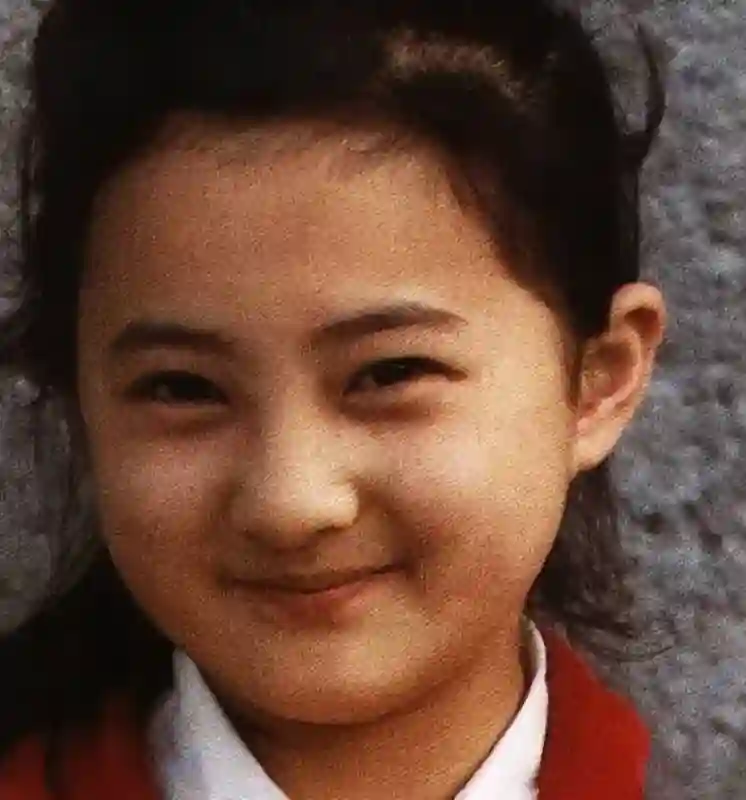 昔日小婉君，今何在？44岁金铭，未婚单身生活揭秘