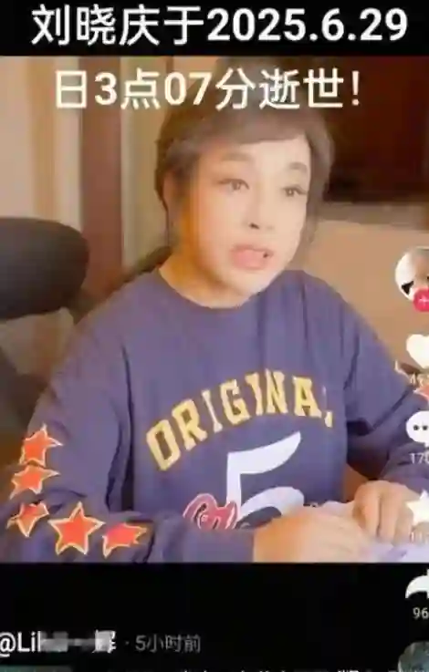 落地的普思不如鸡，瑞士丈夫去世后，回国的斯琴高娃成了