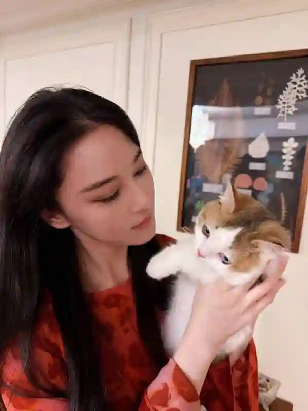 张馨予晒居家随拍，抱猫合影温馨又养眼