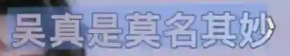 她最大的问题是不太聪明，又很想赢？
