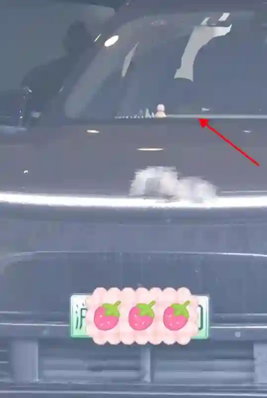 赵丽颖带儿子返回上海，母子同框幸福满溢，赵丽颖粉色短发超抢镜