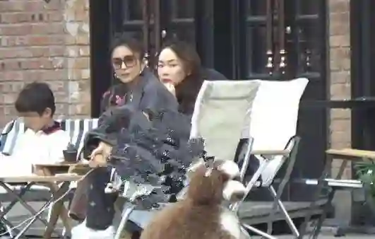 佟丽娅为陈思诚整理衣服疑似复婚！离婚后首同框，一家三口超有爱