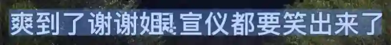 她最大的问题是不太聪明，又很想赢？