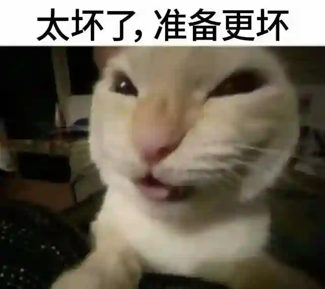 1.5TB满血小屏！这7600mAh新机，要硬刚红米啊