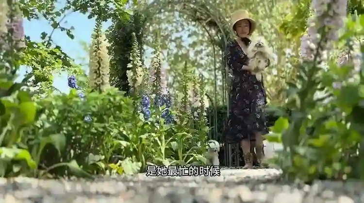 44岁霍思燕晒京郊花园，每天亲自打理，抱七万宠物狗逛花园好贵气