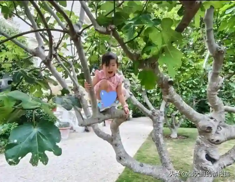 朱珠久违更新与女儿合照！妈咪女儿共用一张脸珠宝爬树上玩好可爱