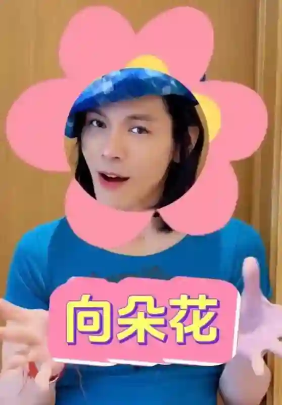 郭碧婷也没想到，自己停工拼命给向家添丁，向佐却悄悄“变了脸”
