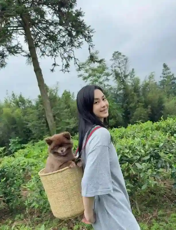 44岁阿娇五一假期带爱狗旅行，背着竹篓去采茶，素颜清纯皮肤白嫩