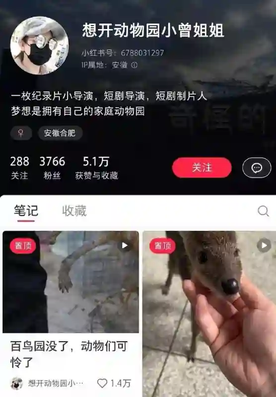 麻了…他到底有多少个前女友啊？