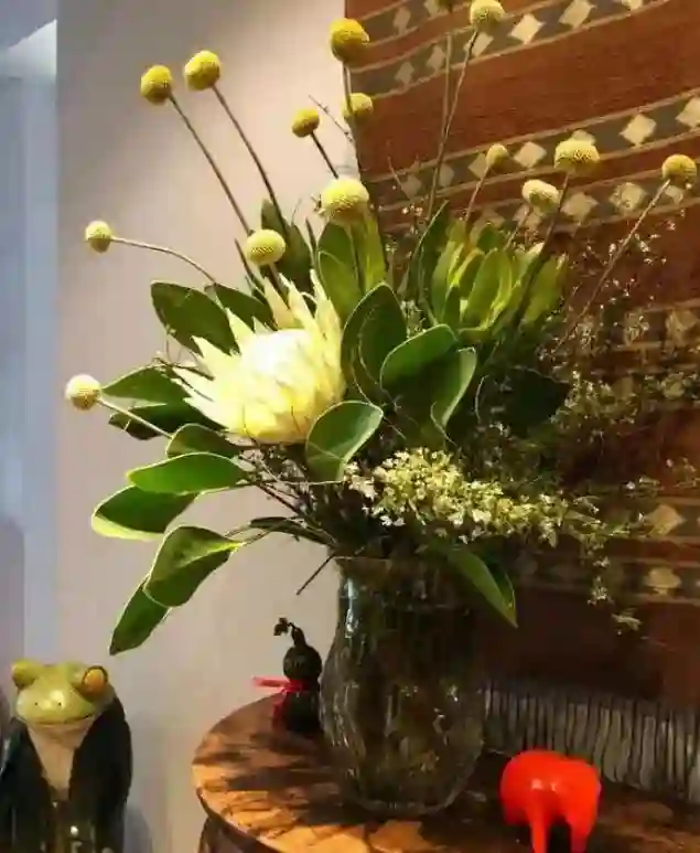 直到看完殷桃的家，终于明白她45岁却不着急结婚生子的原因了