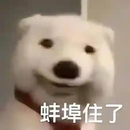 去年5000的手机现在2000多，这些手机真的跌疯了