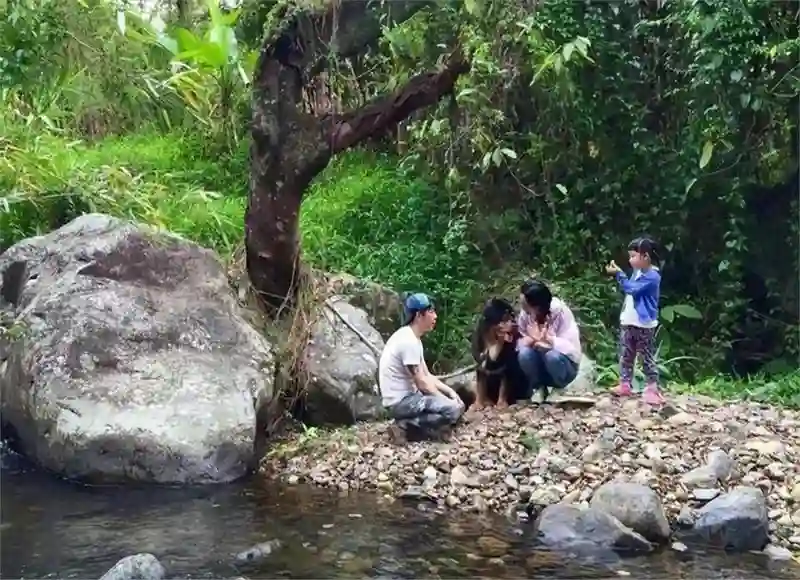 哇塞！52岁朱茵竟住深山陋屋开旧车，活成娱乐圈李子柒，太意外啦