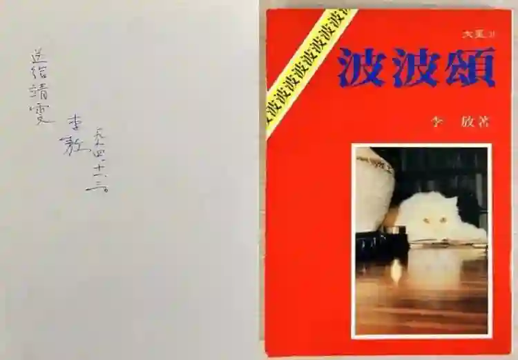 王菲窦唯北京往事：青春时爱上的人，要用多少个十年才能释怀？