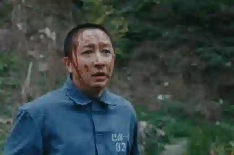 迷雾剧场再破局，《借命而生》这次赢在「去奇观」