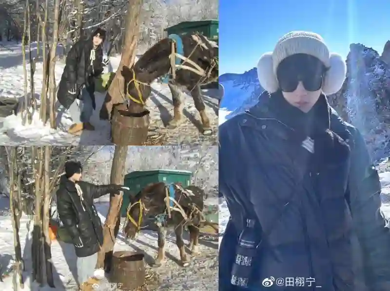 麻了…他到底有多少个前女友啊？