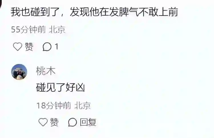 74岁张纪中黑脸训斥老婆：3个保姆都不敢劝架，游客也被吓的远离