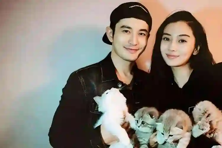 落毛的普思不如鸡？被封杀近1年后，36岁杨颖的尴尬境况显露无疑