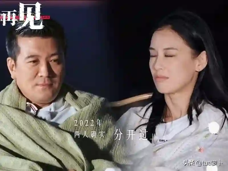 从商演到豪门婚变，黄圣依杨子“分居不离婚”，背后玄机何在？