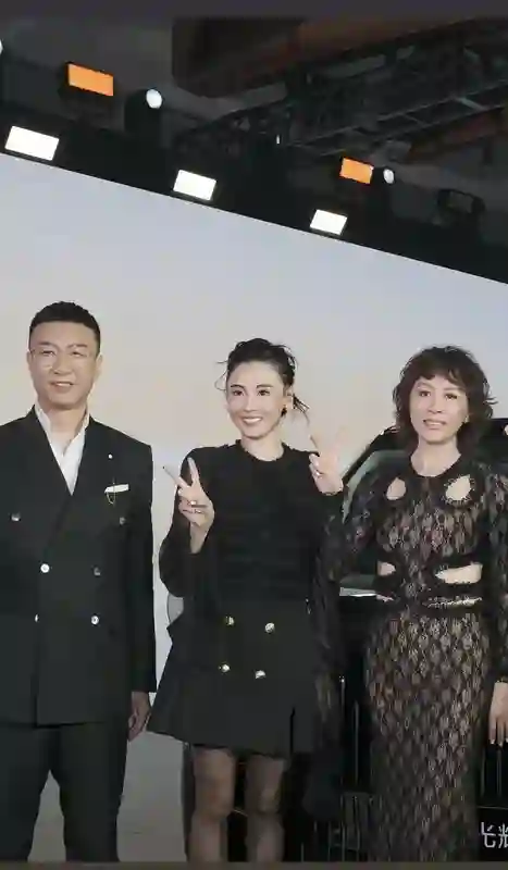 演唱会这4天，谢霆锋与儿子越发亲密，张柏芝一反常态，回忆旧事
