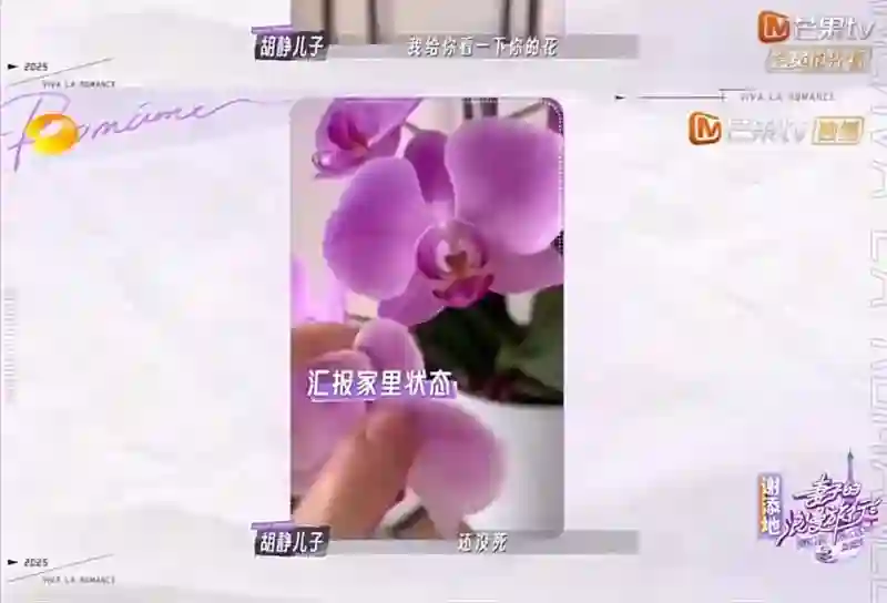 好久不见胡静儿子牛魔王了，颜值拉高星二代整体水平？