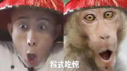 曾经是顶流，现在查无此人？