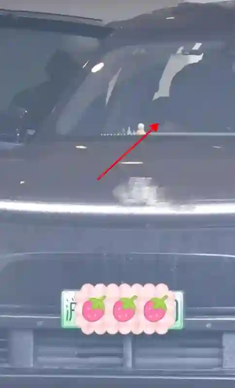 赵丽颖带儿子返回上海，母子同框幸福满溢，赵丽颖粉色短发超抢镜