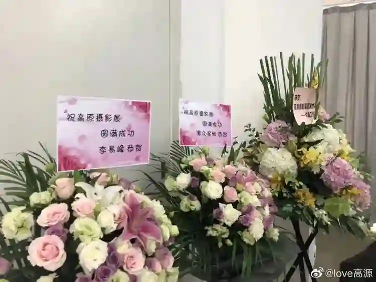 王菲窦唯北京往事：青春时爱上的人，要用多少个十年才能释怀？