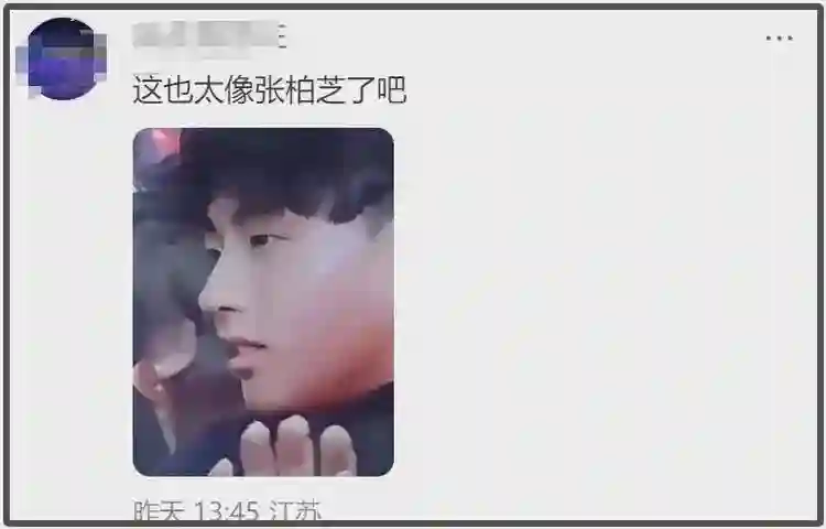 张柏芝儿子高清照曝光，一个像爸一个像妈，网友感叹基因太强大