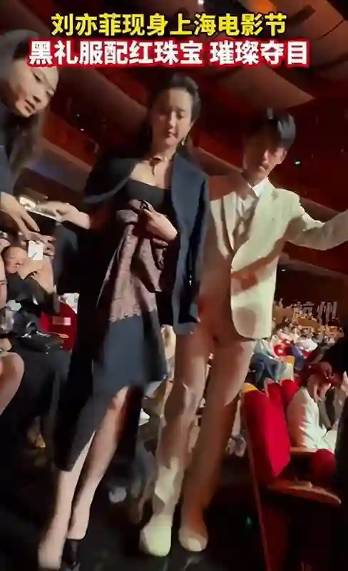 同样被陈金飞力捧，杨采钰与刘亦菲，差距为何如此明显？