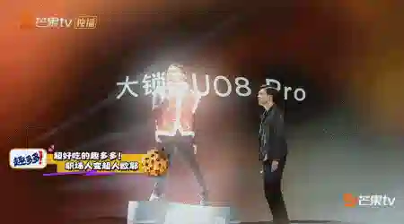 真蔡明、假丁禹兮，这么抽象高低得尝尝咸淡