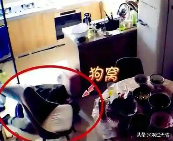 错过汤唯，负了姜妍，46岁靠张新成爆红重生