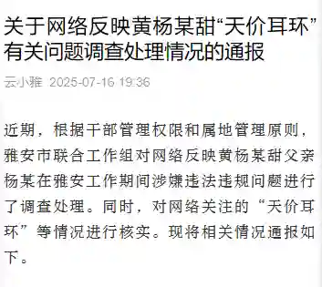 四川通报网络反映黄杨某甜“天价耳环”有关问题调查处理情况