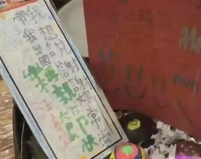 真相了！马筱梅生日直播哭红眼，大S两个孩子的表现已经说明一切