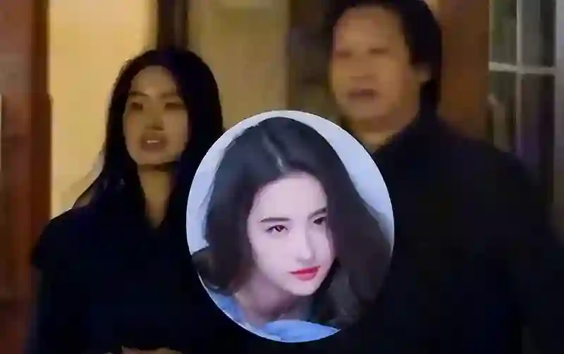 同样被陈金飞力捧，杨采钰与刘亦菲，差距为何如此明显？