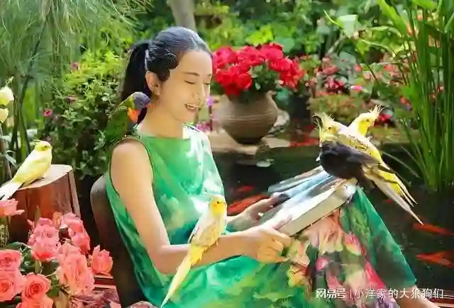 67岁杨丽萍和75岁前夫复合了？富商前夫人如其名，的确纯情