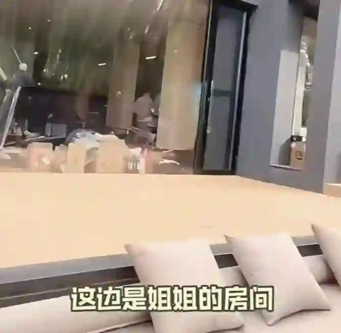 打脸来得太快！小S女儿疑似借用大S遗物，天价包包背着到处炫！