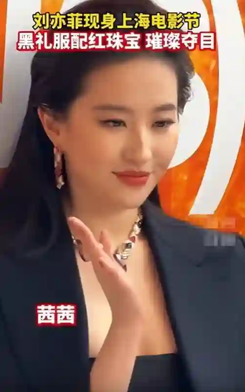 同样被陈金飞力捧，杨采钰与刘亦菲，差距为何如此明显？