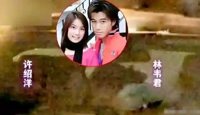 她出道31年，人前玉女，人后“欲女”，今无戏可拍，46岁情归厨师