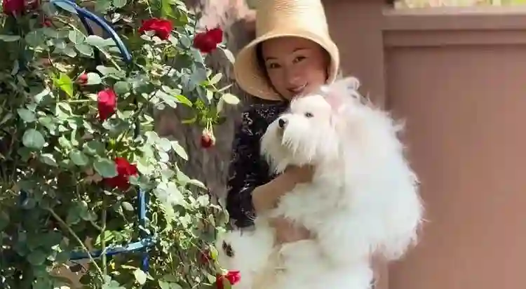 44岁霍思燕晒京郊花园，每天亲自打理，抱七万宠物狗逛花园好贵气