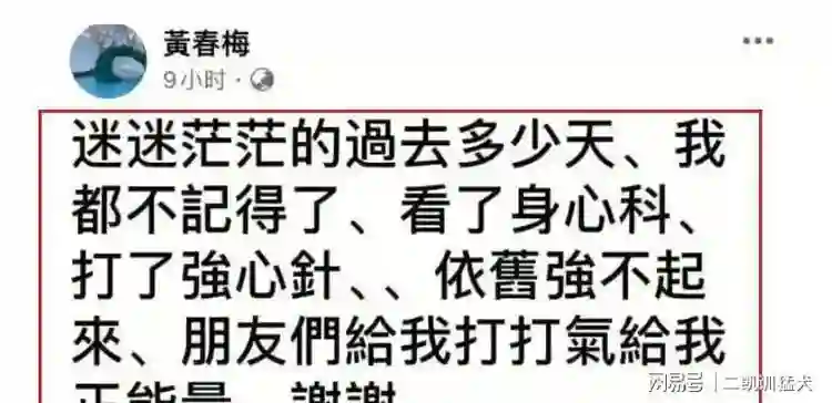 曝小S已搬离许家豪宅，和S妈、大姐同住！方便一家人共同“疗伤”