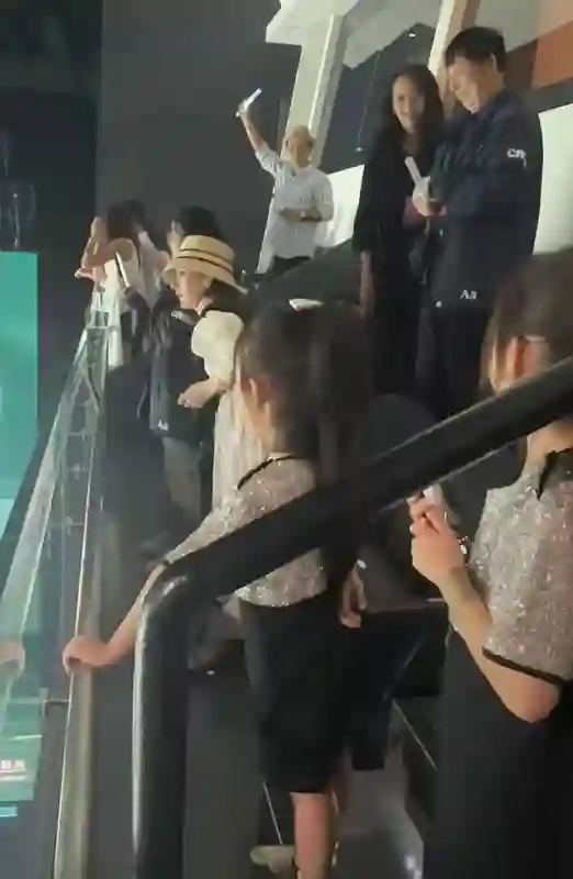 方媛带娃看郭富城演唱会，孕味十足圆润一圈，俩女儿侧脸像爸爸